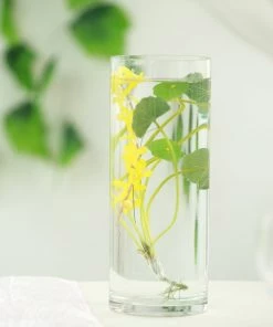 Silkflowersfactory 12" Cylinder Glass Centerpiece Vase - 6/Set Flower Vases & Decorations 16 Silkflowersfactory 12