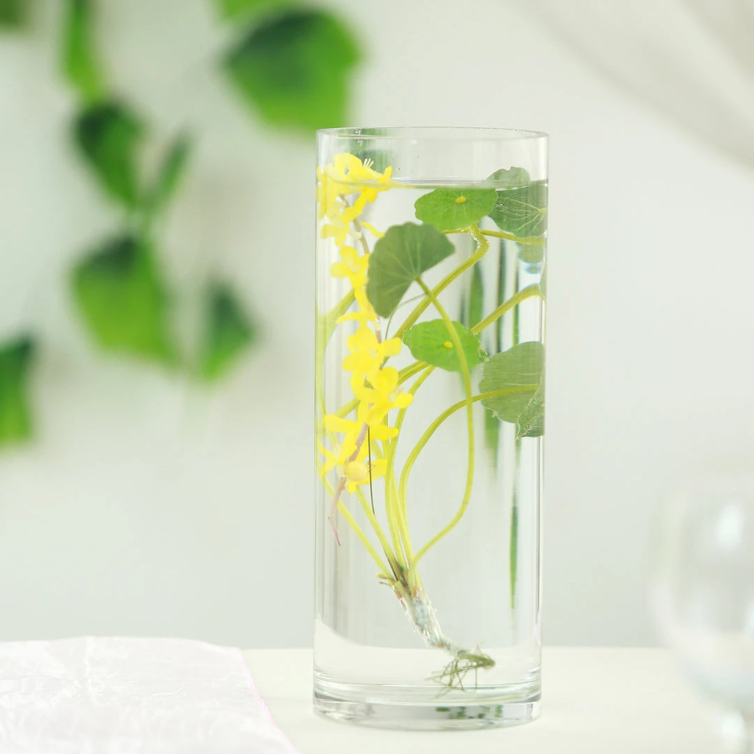 Silkflowersfactory 12" Cylinder Glass Centerpiece Vase - 6/Set Flower Vases & Decorations 5 Silkflowersfactory 12" Cylinder Glass Centerpiece Vase - 6/Set Flower Vases & Decorations