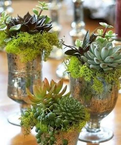 Silkflowersfactory Set Of 3 | 6